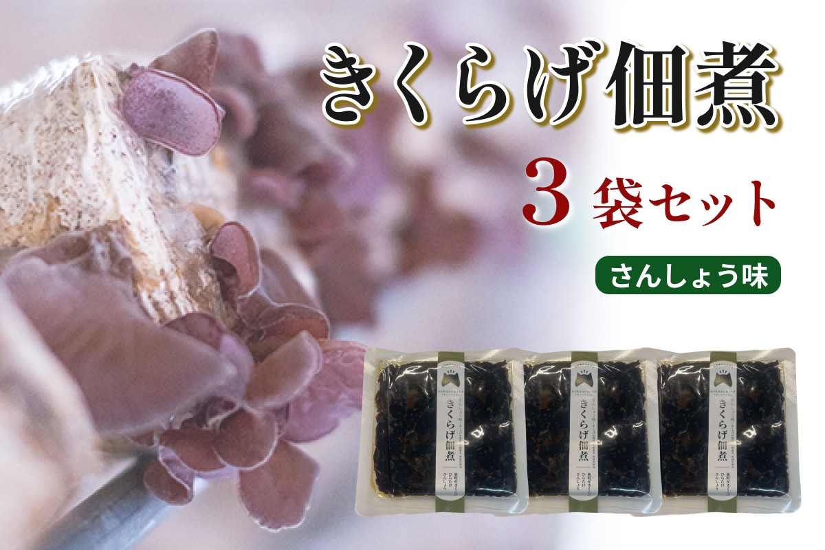 
                  きくらげ佃煮（さんしょう味）×3パック きくらげ 佃煮 さんしょう セット 【157_0008】
                