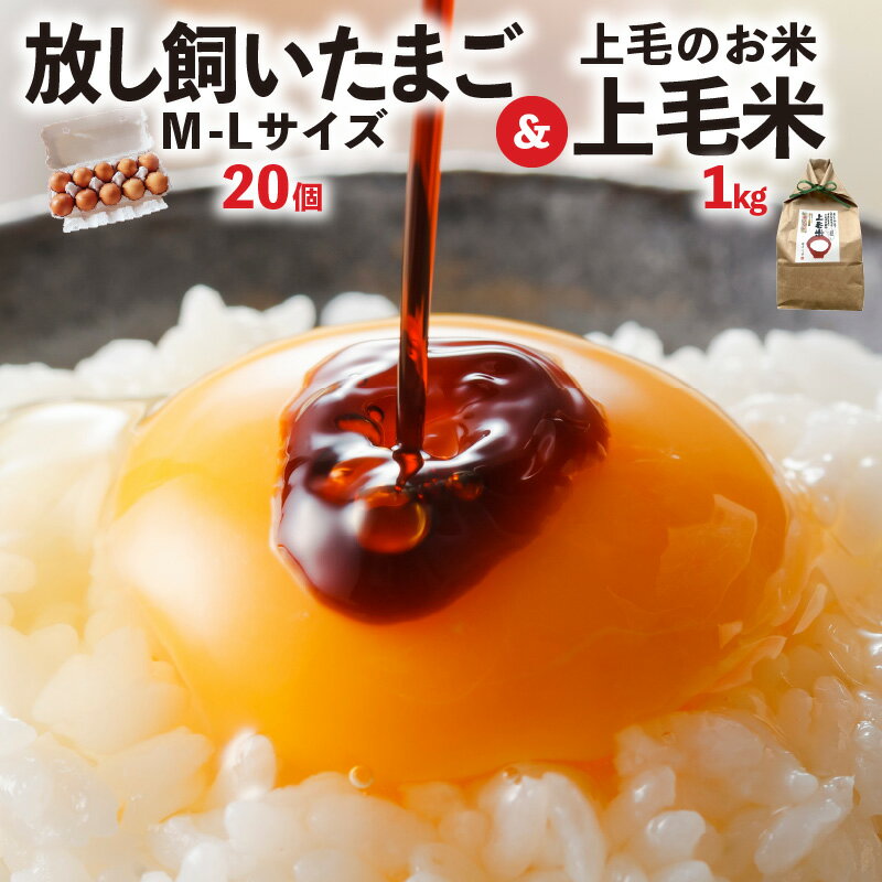 【ふるさと納税】卵 20個 放し飼い かぐやひめ 米 1kg セット 国産 福岡上毛町産 鶏卵 地鶏の卵 放し飼いたまご 生卵 上毛米 たまごかけご飯 炊きたてのご飯 卵黄 卵白 お取り寄せ お取り寄せグルメ 食品 食べ物 ご飯のお供 冷蔵 福岡県 上毛町 送料無料