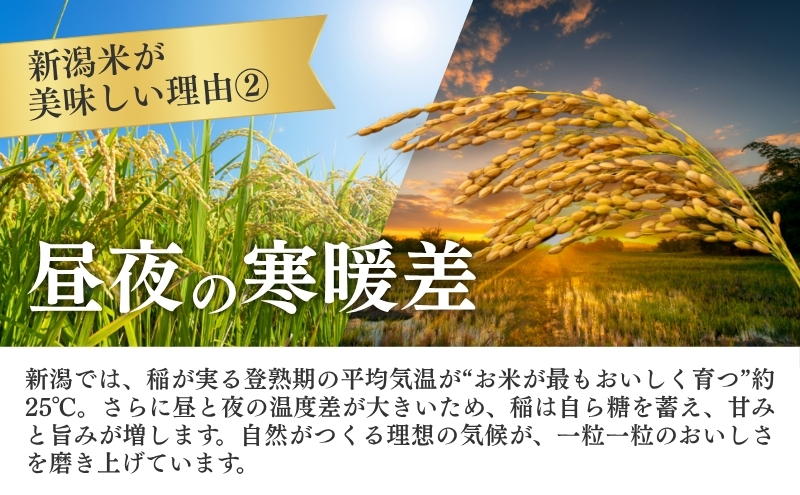 R7年産米 新潟産コシヒカリ5kg
