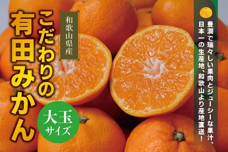 【農家直送】有田みかん 約10kg  大玉3L以上 有機質肥料100% 【2025年12月初旬～12月末に順次発送(お届け日指定不可)】 / みかん 大玉 蜜柑 有田 柑橘 フルーツ 果物 くだもの 12月【CE-nuk139F】