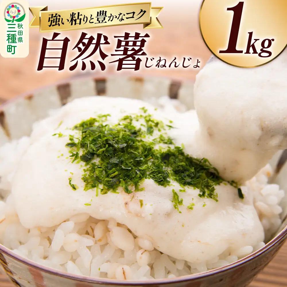 自然薯 1kg 秋田県山本郡三種町産 山芋