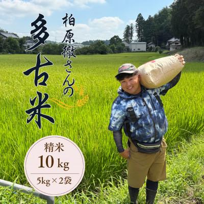 ふるさと納税 多古町 多古米セレクション　柏原徹さんの多古米コシヒカリ　精米10kg　令和7年産