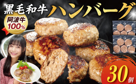 ハンバーグ 30個 国産 ハンバーグ ハンバーグ ハンバーグ ハンバーグ ハンバーグ