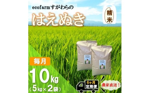 【定期便6回】精米　ecofarmすがわらの庄内米はえぬき10kg×6回
