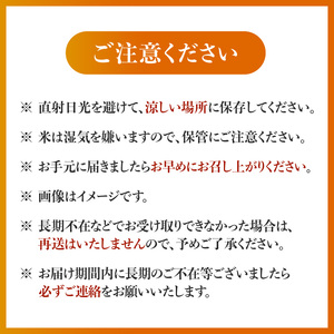 福岡県産ブランド米　夢つくし「豊築宝(ゆきほ)」10㎏（5kg×2袋）_CA0901