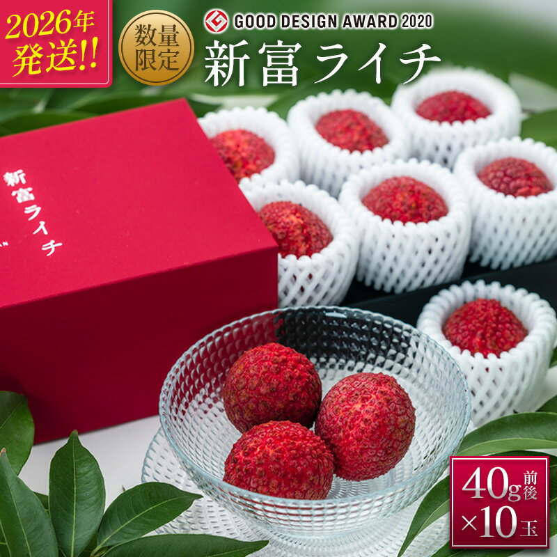 【ふるさと納税】［2026年発送］先行予約 希少！国産＜新富ライチ＞40g前後×10玉 国産 ブランド フルーツ 果物 贈答品