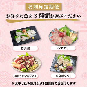 【 刺身 】 刺身定期便3ヶ月