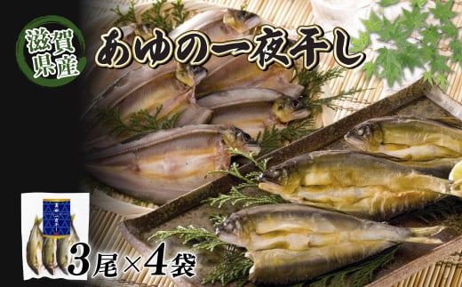 滋賀県産 あゆの一夜干し 3尾×4袋 干物 一夜干し あゆ 鮎 鮎の一夜干し 川魚 魚 国産 琵琶湖 滋賀 彦根 あゆの店きむら