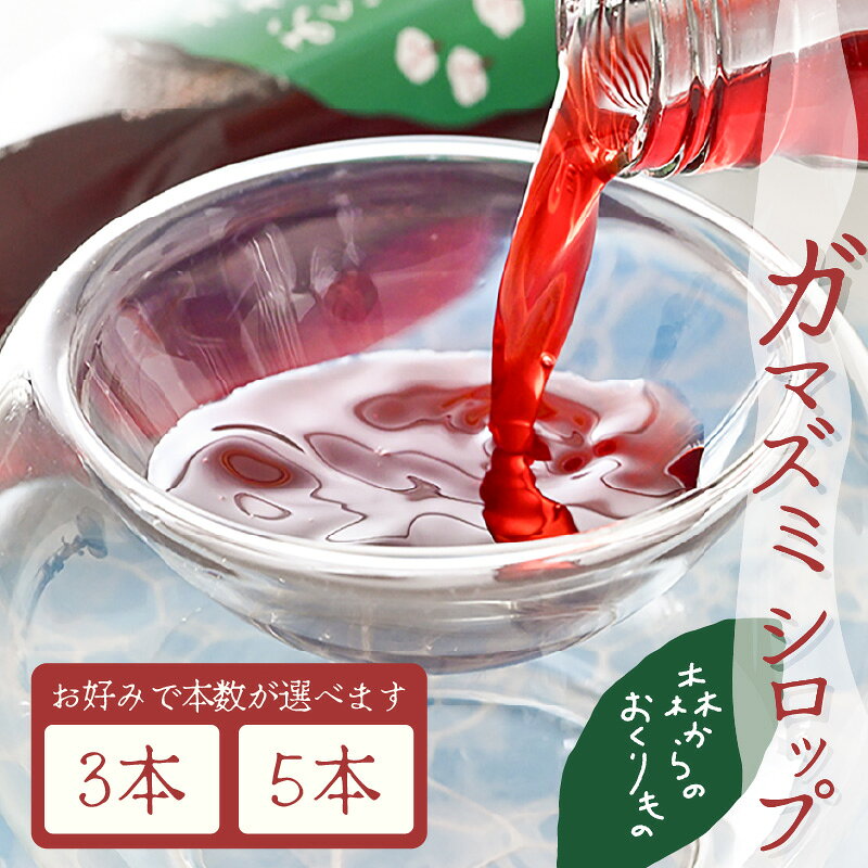 【ふるさと納税】木の実のシロップ（ガマズミ）【選べる内容量】【 がまずみ 木の実 フルーツ 果汁 シロップ ソース 酵母菌 発酵食品 美容 健康 アントシアニン ポリフェノール 栽培期間中 農薬不使用 】