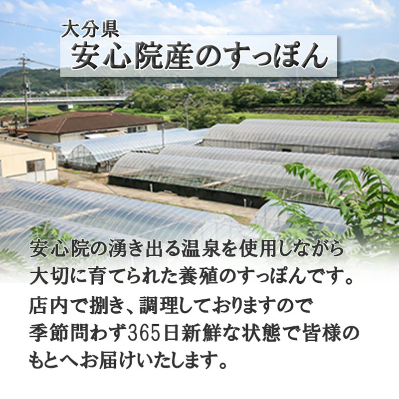 5個セットすっぽんスープ おでん 油揚げ 油あげ すっぽん スッポンスープ 料理 エキス 国産 グルメ 老舗 全国 取り寄せ 取り寄せグルメ コラーゲン 液体 美容 精力 効果 ギフト プレゼント お