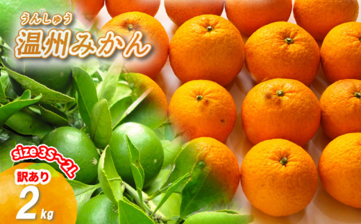 【2026年11月下旬頃から順次発送】訳あり 温州みかん 2kg | みかん ミカン 蜜柑 南柑20号 みかん 数量限定 みかん 愛媛県産 みかん 松山市 みかん 中島 みかん 温州みかん みかん 蜜柑 温州みかん ミカン みかん 旬 温州みかん