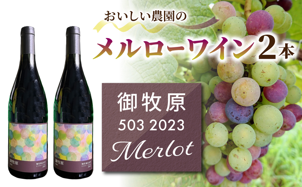 【おいしい農園】メルローワイン「御牧原503」2本