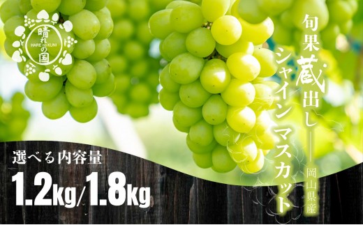 
                  【先行予約 冬季 2026年12月上旬～2027年1月発送】【選べる容量】旬果蔵出し 岡山県産シャインマスカット 1.2kg以上（2～3房）～1.8kg以上（3～4房）【021-a022/021-a023】
                