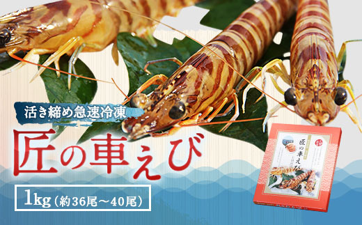 
匠のくるまえび 活き締め くるまえび 約250g （約9尾～10尾）×4箱 合計約1kg 車海老 クルマエビ 車えび 車エビ 海老 エビ えび 魚介 魚貝類 熊本県産 国産 冷凍
