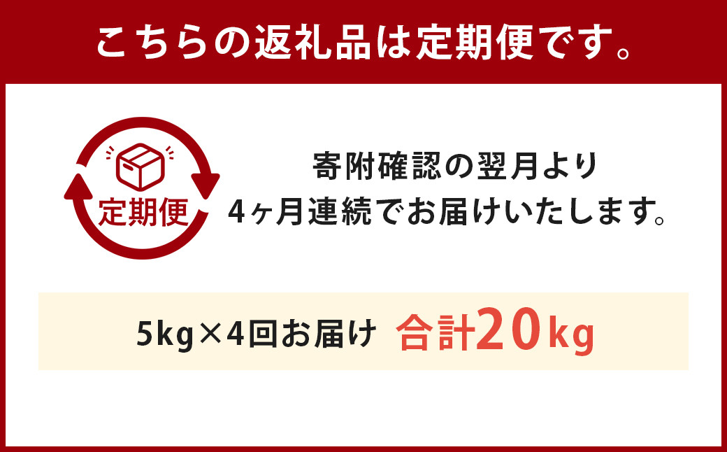 【定期便4回】くまさんの輝き 5kg 合計20kg