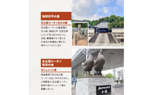 壮平さんどら焼き