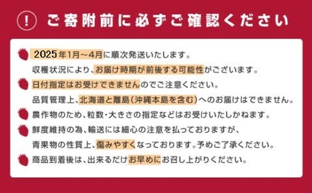 AB168.人気№１獲得謝礼品★限定品★あまおう約８１０g（先行受付．２０２４年１月以降発送）