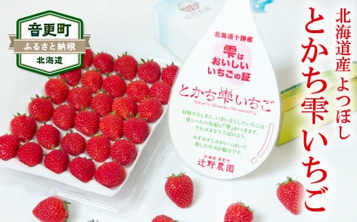 
										
										【先行受付】<2024年11月初旬より順次発送> 十勝の青空と恵みの水で育った「とかち雫いちご」【A62】
									