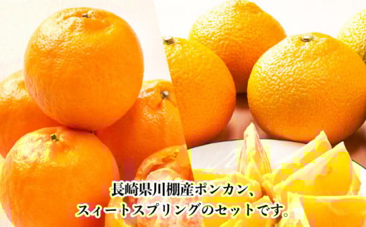【数量限定】ポンカン&スィートスプリング 食べ比べセット 約9kg / みかん 柑橘 ミカン かんきつ 果物  フルーツ【長崎ぶんたんの会】 [OAF009]