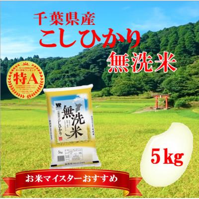 ふるさと納税 大網白里市 【新米 令和7年産】【特A評価】千葉県産「コシヒカリ」無洗米 5kg(5kg×1袋)