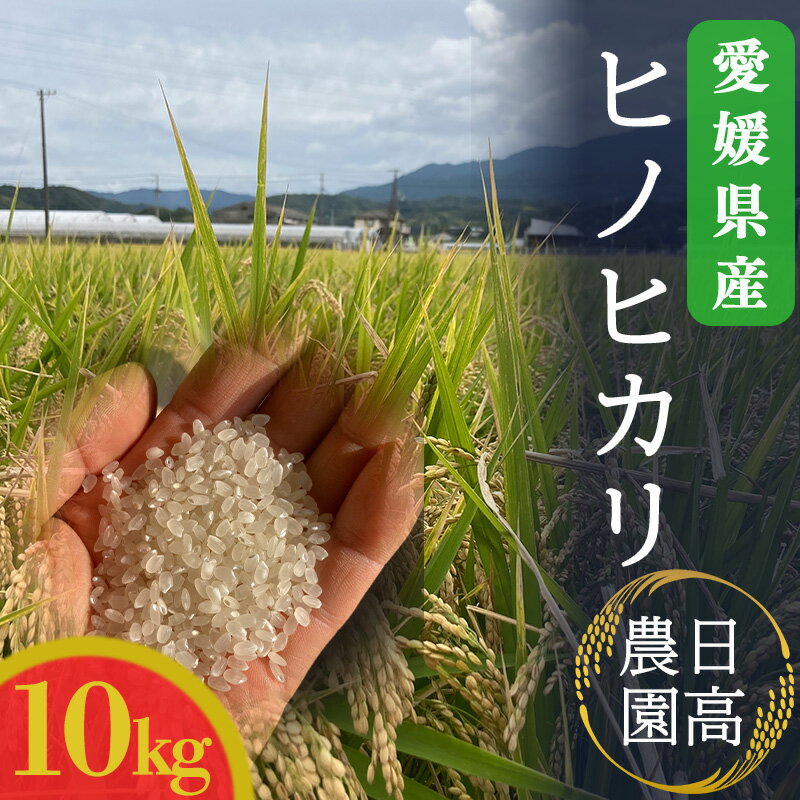 【ふるさと納税】 令和7年産 新米予約 新米 お米 ヒノヒカリ 10kg ｜産地直送 国産 白米 ブランド米 期間限定 数量限定 白米 精米 国産 限定 ごはん ご飯 白飯 ゴハン お弁当 おにぎり 日用品 お取り寄せ 送料無料 愛媛県 松山市