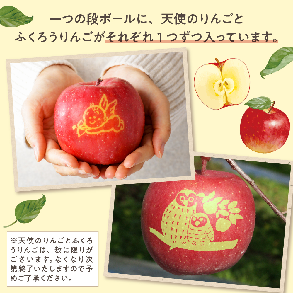 【2025年12月上旬発送】りんご青森産約5kg津軽から完熟サンふじ＆色々ミックス贈答用