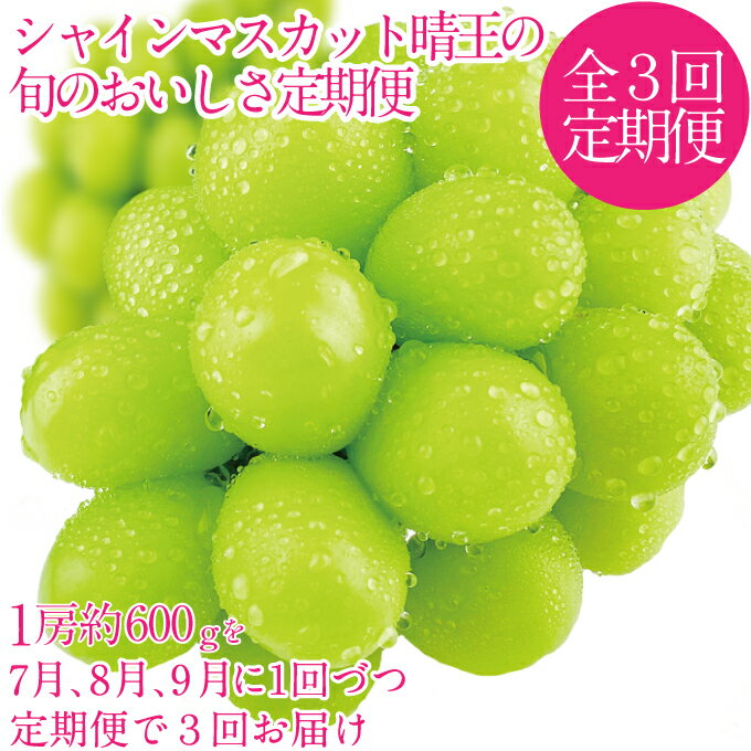 【ふるさと納税】2025年予約受付中【3回定期便】 シャインマスカット 晴王 7月8月9月に1回づつ出荷 1房 約600g 人気 岡山県産 種無し 皮ごと食べる みずみずしい フレッシュ 晴れの国 おかやま 果物大国 ハレノフルーツ　お届け：2026年7月中旬～2026年9月下旬