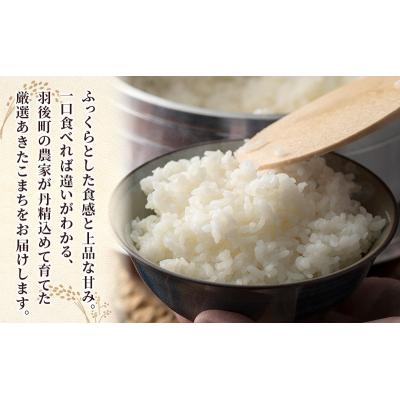 ふるさと納税 羽後町 【令和7年産】定期便 秋田県産あきたこまち 5kg×1袋 全3回[No.5325-0382] |  | 01