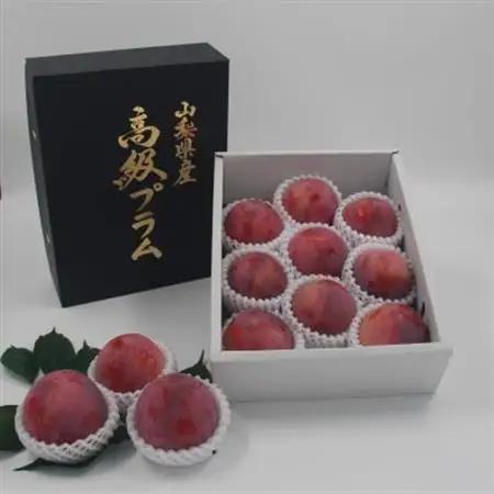 【2027年発送先行受付】すもも『大玉貴陽』約1.8kg(7～10玉)【配送不可地域：離島】【1395561】