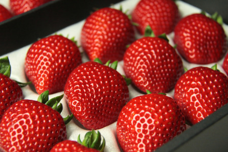 発送1月～【先行受付】あまりん 350～400g（竹）　いちご あまりん いちご