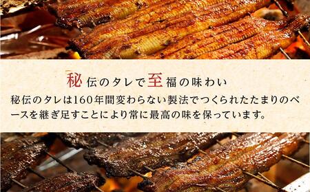 ひつまぶし店『まるや本店』３人用ひつまぶし【うなぎ 鰻 魚介類 うなぎ 水産 うなぎ うなぎ蒲焼 食品 人気 うなぎ おすすめ ギフト うなぎ 冷凍 温めるだけ うなぎ お土産 愛知県 長久手市 AD