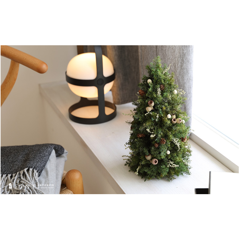 フォレストツリー【クリスマス限定！申込は11月30日まで】
_イメージ3