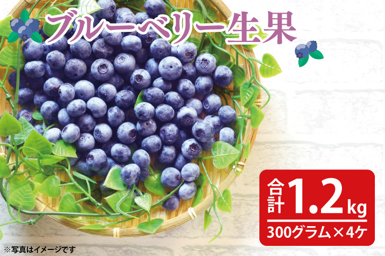 
            【先行予約】完熟ブルーベリー1.2kg（300g×4パック）【2025年6月下旬ころから順次発送予定】(19-01-1)
          