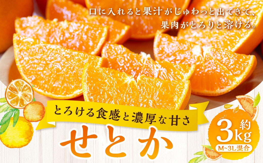 
                  【 とろける食感と濃厚な甘さ 】 せとか 約3kg みかん ミカン 柑橘 柑橘類 柑橘系 くだもの 果物 フルーツ 果実 果汁 果肉 国産 愛媛県産 【 2027年2月上旬～4月下旬発送予定 】 ( 1045 )
                