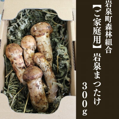 【ふるさと納税】【2026秋発送】≪ご家庭用に≫　岩泉まつたけ 300g【配送不可地域：離島】【1424099】