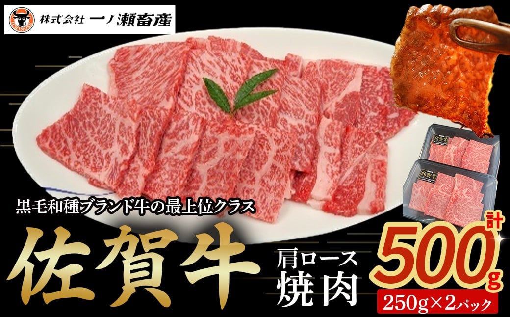 
            佐賀牛肩ロース焼肉 250g×2パック　牛肉 肉 牛 佐賀牛 ブランド牛 黒毛和牛 肩ロース 焼肉 焼き肉 BBQ バーベキュー 国産 国産牛 冷凍 佐賀県 太良町 OD5
          