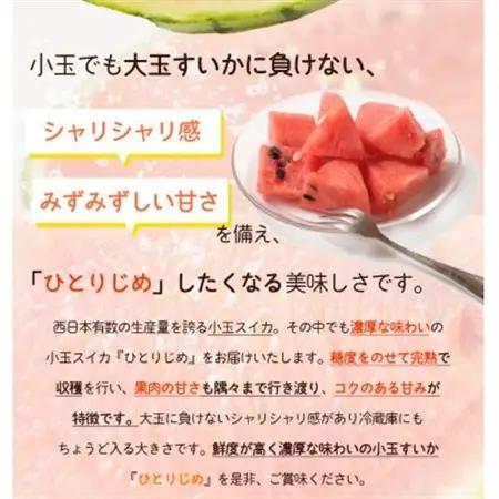 【2027年6月中旬より順次発送予定】紀州和歌山産小玉スイカ「ひとりじめ」1玉【1421263】