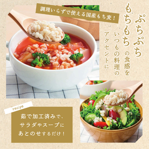 国産かけるだけもち麦 50g×10袋 防災 備蓄 保存 防災グッズ ストック