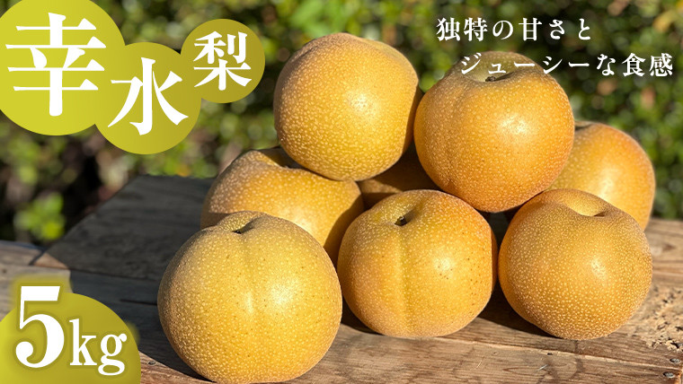 
            独特の甘さ ジューシーな食感 「 幸水 」 梨 5kg 減農薬 果物 フルーツ なし ナシ [DC004ci]
          