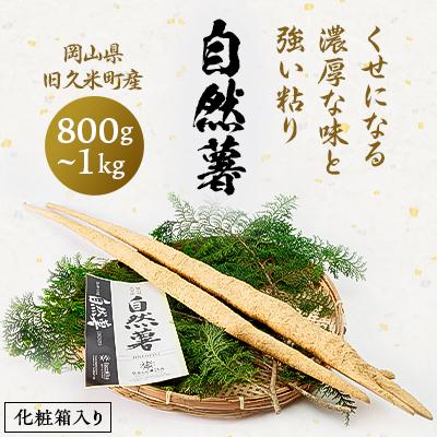 ふるさと納税 津山市 【11月下旬〜順次発送】土臭さがくせになる濃厚な味と強い粘りの自然薯　800g〜1kg化粧箱入り