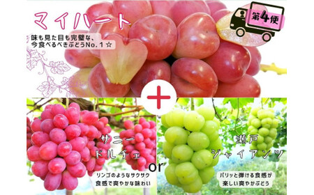 【産地直送】 ※2026年の予約です！※ 岡山 シャインマスカット ＆ マイハート 入り！新鮮 ぶどう 定期便 ×４回コース【2026年9月下旬～】離島不可 / 葡萄 ブドウ 果物 フルーツ マスカッ