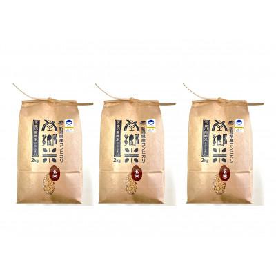 ふるさと納税 五泉市 令和7年産 特別栽培米 隠れたお米の名産地!新潟県五泉産コシヒカリ「南郷米」玄米6kg |  | 01