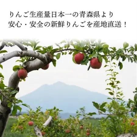 【11月より順次発送】青森県産「サンふじ」家庭用　訳あり 光センサー選果済　約3kg【1635391】