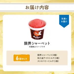 限界シャーベット 6個セット J06018