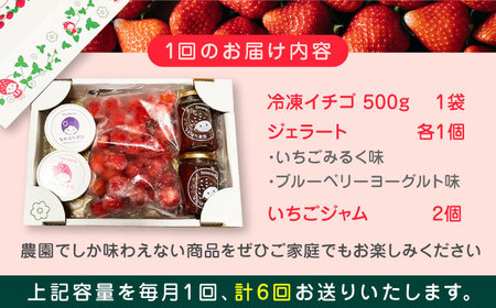 【限定数量】【全6回定期便】なかはた農園満喫セット ( 冷凍イチゴ 500g いちごジャム 1個 ジェラート 2種 × 各1個 ) 熊本 山都町 農園直送 産地直送【なかはた農園】[YBI035]