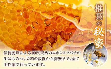 宮崎県産 はちみつ 「椎葉の秘蜜」 大 250g瓶 1個