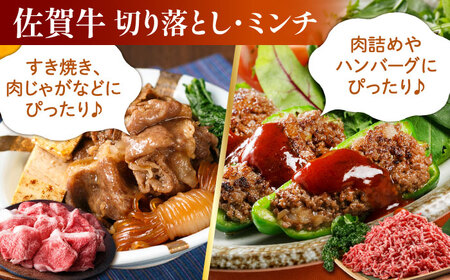 【全12回定期便】ミンチ付き！三栄のデイリーセット HAA094 ミンチ 国産 和牛 佐賀牛