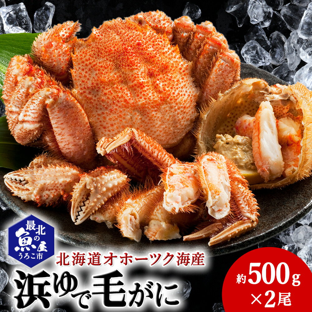 【ふるさと納税】北海道オホーツク海産 浜ゆで毛がに 約500g×2尾ボイル 毛がに 毛ガニ 毛蟹 ボイル 蟹 カニ 北海道ふるさと納税 稚内 ふるさと納税 北海道 【配送不可地域：離島】