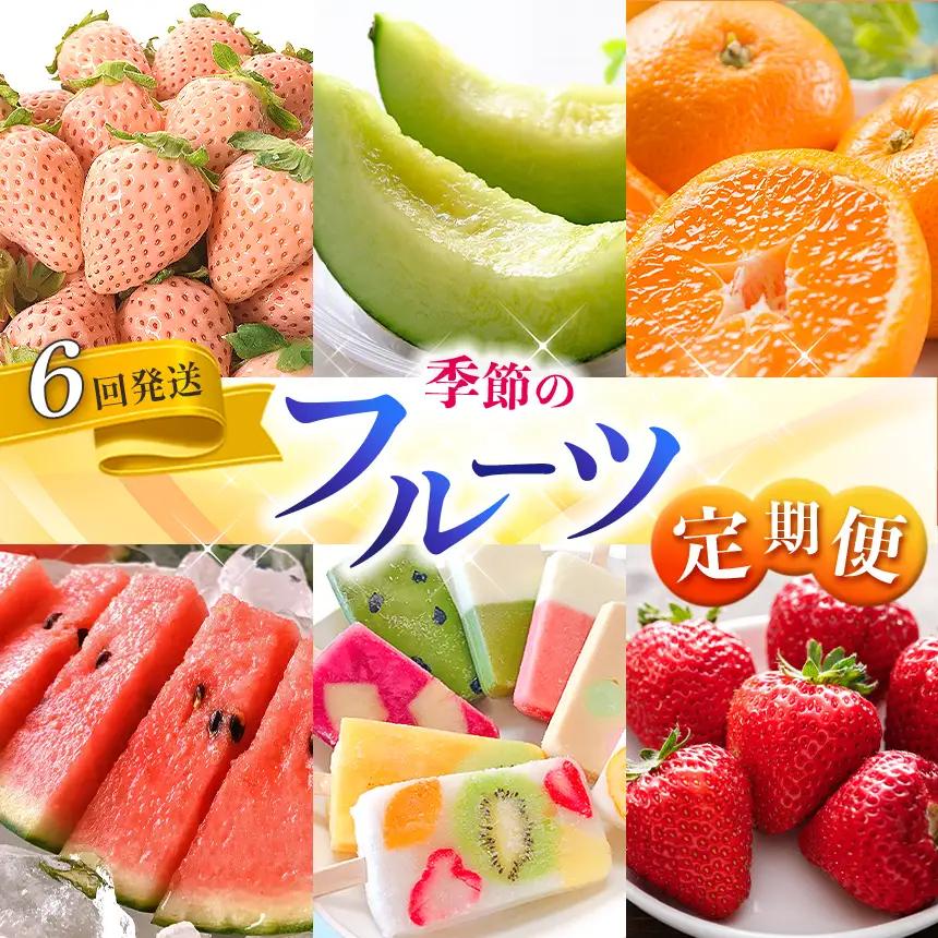 【 定期便6回 】 熊本 人気 フルーツ | 果物 白いちご 淡雪 不知火 デコポン みかん いちご イチゴ メロン すいか スイカ アイス キャンディー クレープ みかん 柑橘