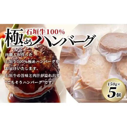 石垣牛 100% 極めハンバーグ 150g×5個  TM-5